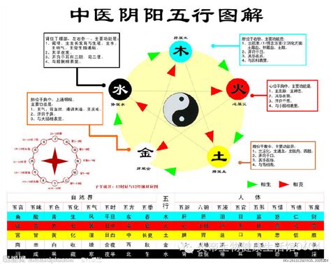 五行成語相剋|五行相生相剋:五行,四季五行,相生相剋,概念對應,五行數理,五行方。